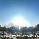 군포시청 Daum카페
