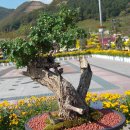 양산호수공원 이미지