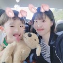 안동봉화축협 앞 | [경북 영주/안동 1박2일] 분천역 산타마을 / 협곡열차...인재개발원 영주교육원 / 영주축협한우프라자