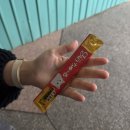기차마을 버스정류장 | 가볼만한 곳 ➀ㅣ허우통 고양이마을 :: 타이베이역에서 허우통 가는 방법 기차시간표 고양이 기념품 카페...