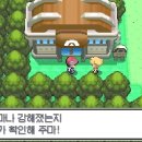 초원체육관 네이버블로그