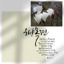 감성 펜 캘리그라피 이미지