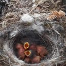 새인농장 이미지