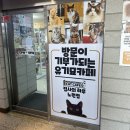 집사의하루 노원점 이미지