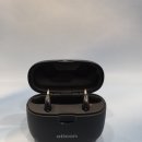 덴마크보청기 이미지