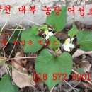 대부건강원 이미지