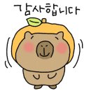 상주이장님농장 네이버블로그