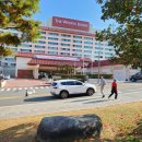 경북대학교 정책정보대학원 이미지