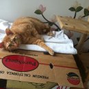 서광(아) 이미지