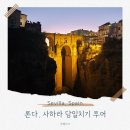 스페인 세비야 근교 여행 론다 당일치기 야경 투어 찐 후기