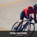 자이언트디테일 이미지