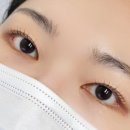 더무드라인 | 안산 속눈썹 펌 잘하는 곳 더무드라인 속쌍 시그니처무드펌 후기