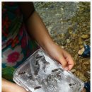 곰사냥을떠나자펜션 이미지