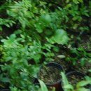 느티나무하우스 이미지