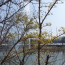 장자호수공원 생태체험관 이미지