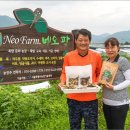 여주-1043 이미지