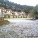마운틴펜션 Daum카페