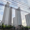 연동초교 | 연산11구역 재개발 임장 후기