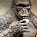 용산-284 이미지