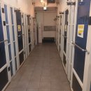 뮤즈 코인노래연습장 이미지