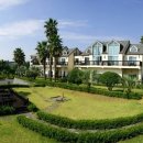 야자수하우스 이미지