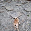 뭉치농장 이미지