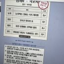 셀돔(CELL DORM) | 영원을 조각하던 나의 여름2