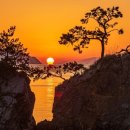 떠오르는태양 이미지