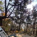 덕천3동-4 이미지