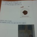 연우아이티