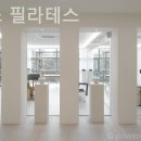 이네스필라테스
