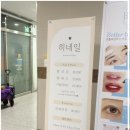 시도네일