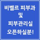 비벨르 이미지