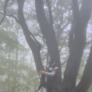 회봉산야유회장소 사전답사 우중산행 이미지
