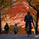 가을 - 15532 | 가을