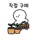 죽백농원 이미지