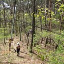 충주호 주봉산 이미지