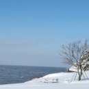 카페보리 이미지