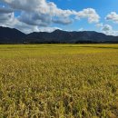 법인농업회사친환경농축산 이미지