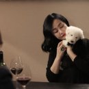 하유미 카카오 검색결과