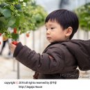 준영농장 이미지
