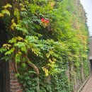 국수1리 새마을 태양광발전소 | [강릉 구간] 해파랑길 37코스 | 인생이 여행에게 배워할 지혜