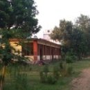 보드가야(BODHGAYA) 이미지