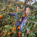 순분농장 이미지