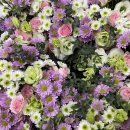 상경병설유치원 이미지