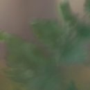 옥바이오 이미지