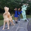 캡틴제주