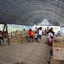 함열 농장 이미지