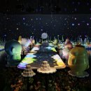 플로리아 이미지