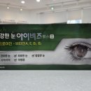 충무공약국 | 안구건조증 치료약 - 아이비즈헬스연질캡슐